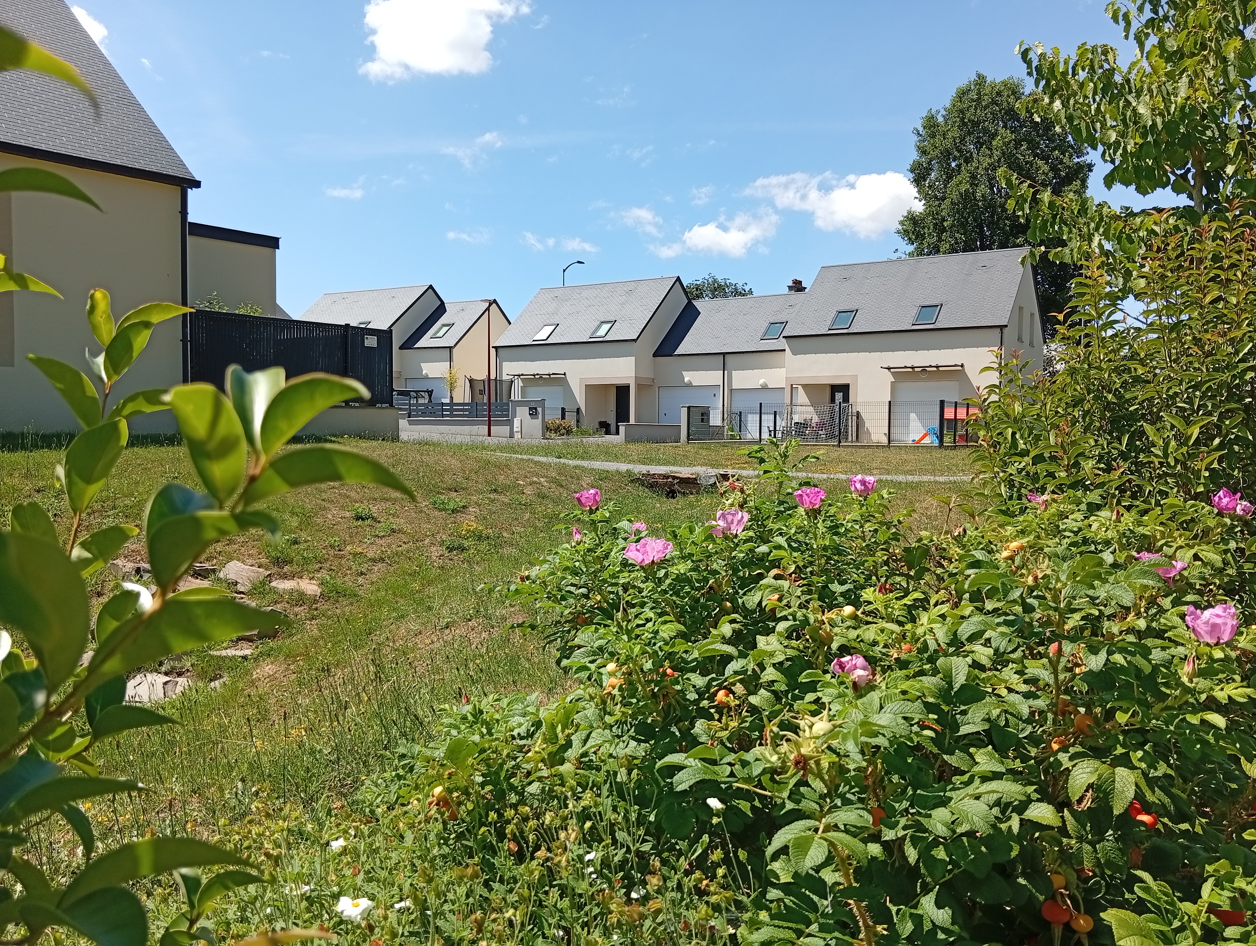 MH 6 Logements